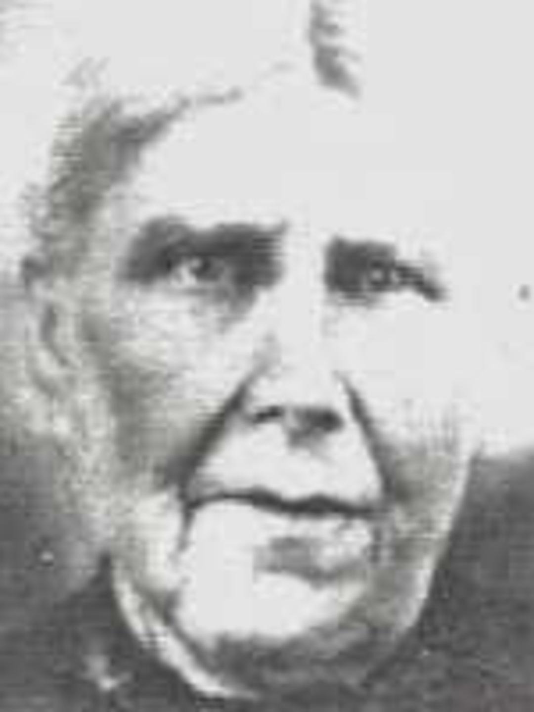 Ann McGregor Leishman (1834 - 1917) Profile